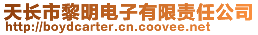 天長市黎明電子有限責(zé)任公司