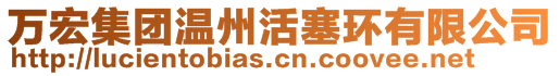 萬宏集團溫州活塞環(huán)有限公司