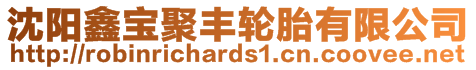 沈陽(yáng)鑫寶聚豐輪胎有限公司