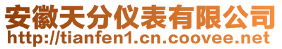 安徽天分仪表有限公司