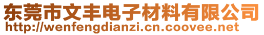 东莞市文丰电子材料有限公司