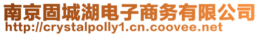 南京固城湖電子商務有限公司