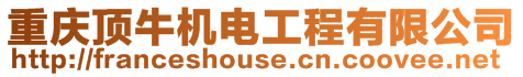 重慶頂牛機電工程有限公司