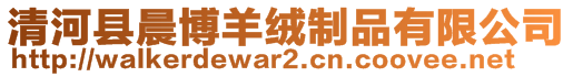 清河縣晨博羊絨制品有限公司