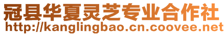 冠縣華夏靈芝專業(yè)合作社