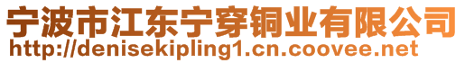 寧波市江東寧穿銅業(yè)有限公司