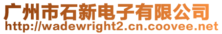 廣州市石新電子有限公司
