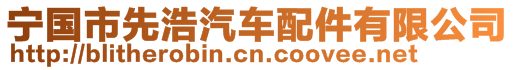 寧國市先浩汽車配件有限公司