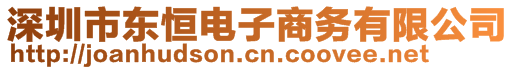 深圳市東恒電子商務(wù)有限公司