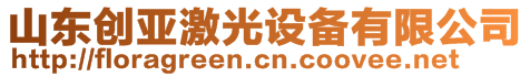 山東創(chuàng)亞激光設備有限公司