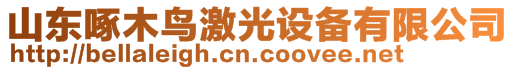 山東啄木鳥激光設(shè)備有限公司