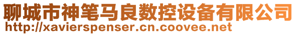 聊城市神筆馬良數(shù)控設(shè)備有限公司