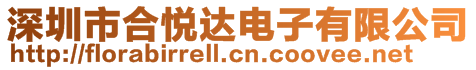 深圳市合悅達電子有限公司