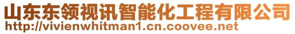 山東東領視訊智能化工程有限公司