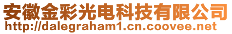 安徽金彩光電科技有限公司