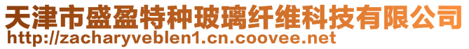 天津市盛盈特種玻璃纖維科技有限公司