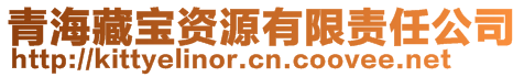 青海藏宝资源有限责任公司