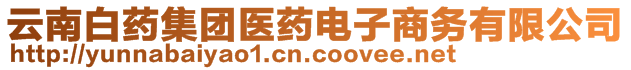 云南白藥集團醫(yī)藥電子商務(wù)有限公司