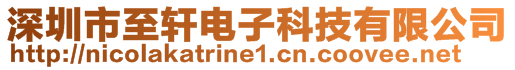 深圳市至軒電子科技有限公司