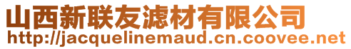 山西新聯(lián)友濾材有限公司