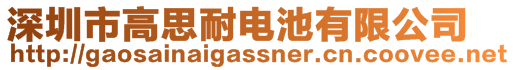 深圳市高思耐電池有限公司