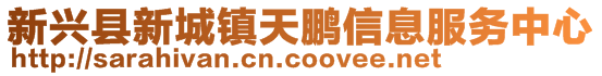 新興縣新城鎮(zhèn)天鵬信息服務(wù)中心