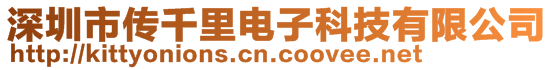 深圳市传千里电子科技有限公司