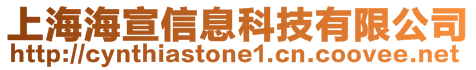 上海海宣信息科技有限公司