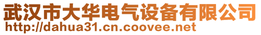 武汉市大华电气设备有限公司