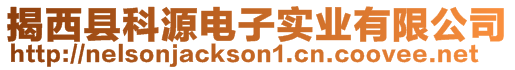 揭西縣科源電子實(shí)業(yè)有限公司