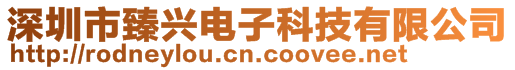 深圳市臻兴电子科技有限公司