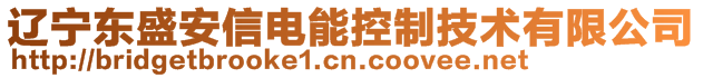 遼寧東盛安信電能控制技術(shù)有限公司