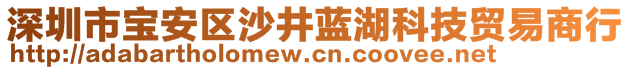 深圳市寶安區(qū)沙井藍湖科技貿(mào)易商行