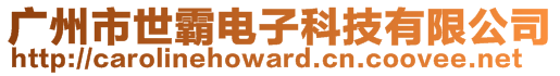 廣州市世霸電子科技有限公司