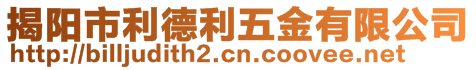 揭陽市利德利五金有限公司