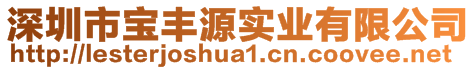 深圳市寶豐源實(shí)業(yè)有限公司