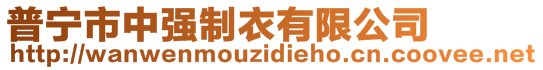 普寧市中強(qiáng)制衣有限公司