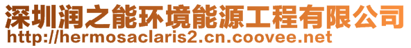 深圳潤之能環(huán)境能源工程有限公司