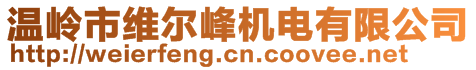 温岭市维尔峰机电有限公司