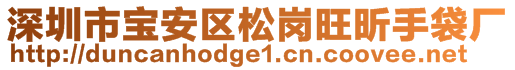 深圳市宝安区松岗旺昕手袋厂