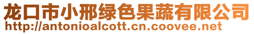龍口市小邢綠色果蔬有限公司