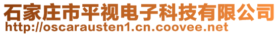 石家莊市平視電子科技有限公司