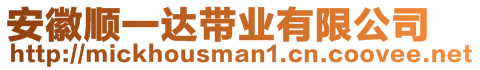 安徽順一達(dá)帶業(yè)有限公司