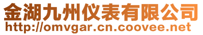 金湖九州儀表有限公司