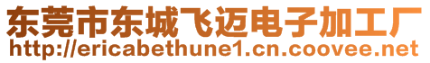 東莞市東城飛邁電子加工廠