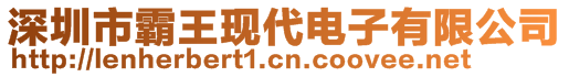 深圳市霸王現(xiàn)代電子有限公司