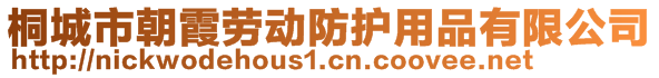 桐城市朝霞勞動防護用品有限公司