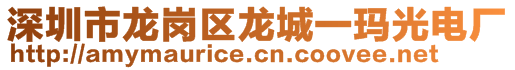 深圳市龍崗區(qū)龍城一瑪光電廠