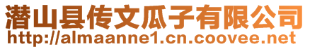 潛山縣傳文瓜子有限公司