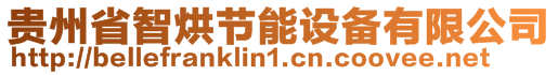 貴州省智烘節(jié)能設(shè)備有限公司